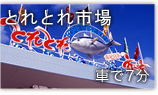 とれとれ市場